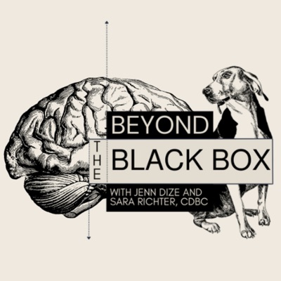 Beyond the Black Box