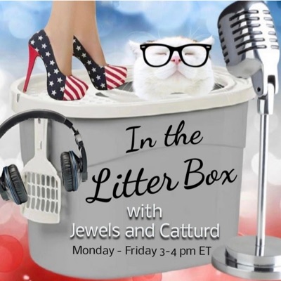 In the Litter Box:Jewels Jones & Catturd