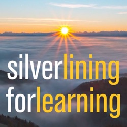 Silver Lining for Learning