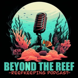 Beyond The Reef