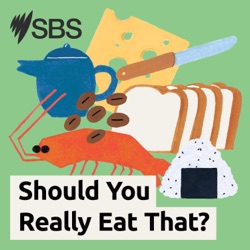 Introducing Should You Really Eat That? A new podcast that makes sense of food confusion