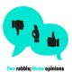 Two Rabbis, Three Opinions
