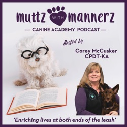 Episode 27: Life Changes – Easing Your Dog into New Routines