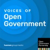 Voices of Open Government artwork