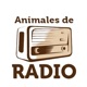 Animales de Radio por Mediarte #laentrevista #frankilampariello