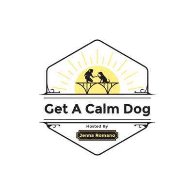 Get A Calm Dog