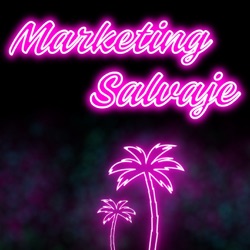 | 4 X 20 | La transformación digital en Marketing Salvaje
