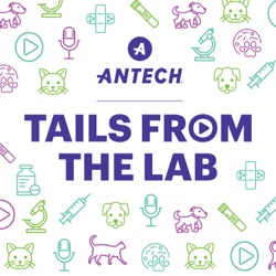 Tech Talk: Effusion Analysis (Part 1)