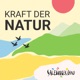 Kraft der Natur - Eine Reise ins Salzburger Land