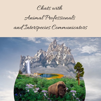Chats with Animal Pros and Interspecies Communicators