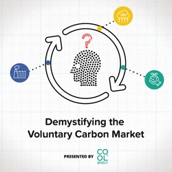 Demystifying the Voluntary Carbon Market With Cool Effect