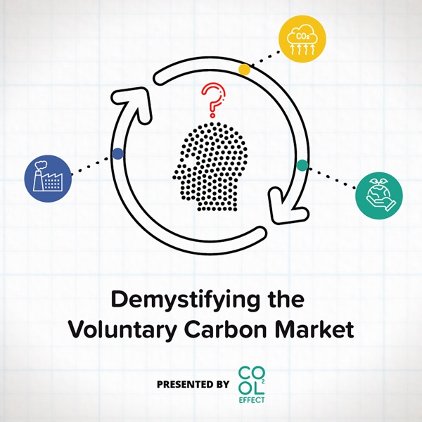 What is a High Quality Carbon Offset?