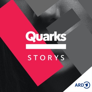 Quarks Storys