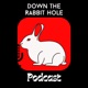 Down The Rabbit Hole (Red Hot Riot)