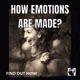 How Emotions Are Made?