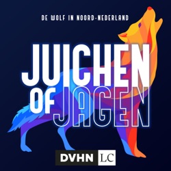 Juichen of Jagen, de wolf in Noord-Nederland