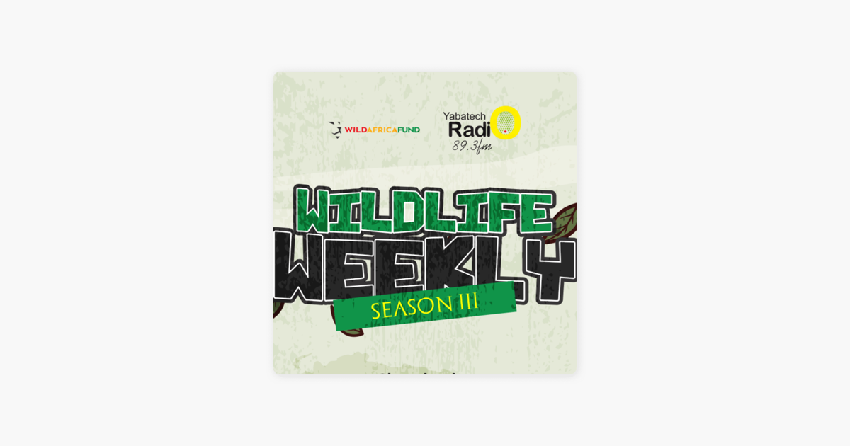 â žwildlife Weekly On Apple Podcasts â žwildlife Weekly On Apple Podcasts
