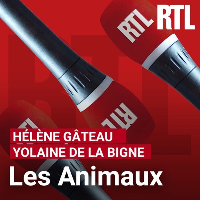 Les animaux:RTL