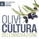 OliviCultura dell'innovazione