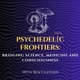 What are flashback hallucinations? Exploring HPPD - With Dr Torsten Passie and Ben Clayden - The Psychedelic Frontiers Podcast Episode 10