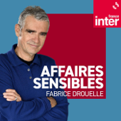 EUROPESE OMROEP | PODCAST | Affaires sensibles - France Inter