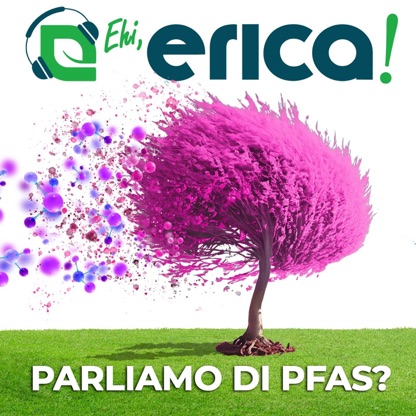 Ehi, Erica! Parliamo di PFAS?