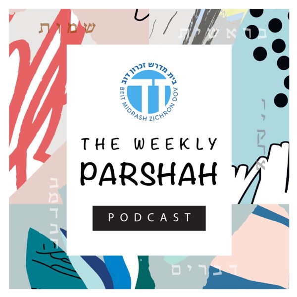 The Toronto Torah