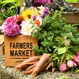 A Letter to the Woman Looking Forward to Farmer’s Markets // Alexandra Greeley