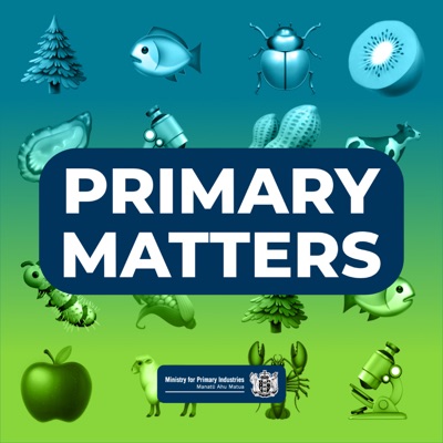 Primary Matters