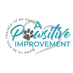 A Pawsitive Improvement brings you DOG HELP