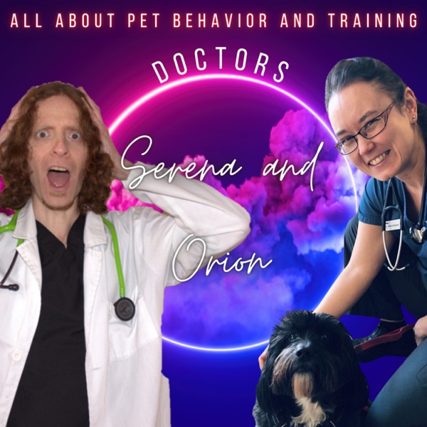 Doctors Serena and Orion - It's all about dogs and cats behavior Image