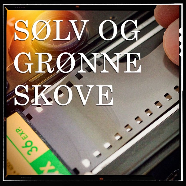 8: Så nemt er det at fremkalde farvefilm selv! - Sølv og grønne skove - Foto på film