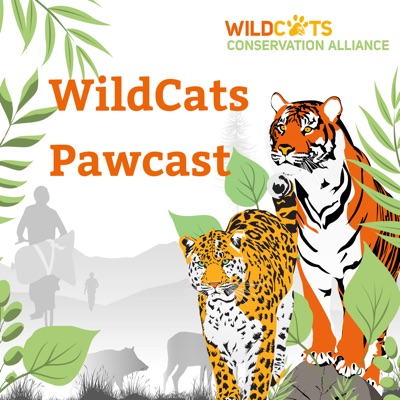 WildCats Pawcast WildCats Pawcast