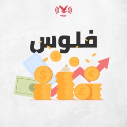 استراتيجيات الاستثمار: التركيز أم التنويع؟