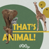 That's Animal - RTÉjr