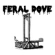 FERAL DOVE PODCAST