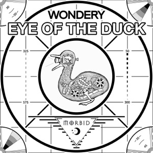 Eye of the Duck