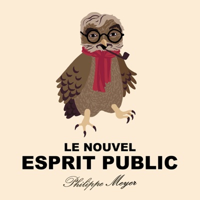 Le Nouvel Esprit Public:Philippe Meyer