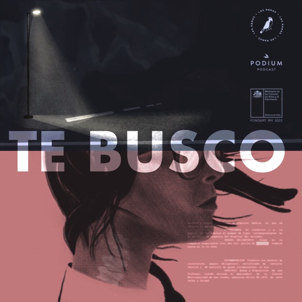 TE BUSCO - Episodio 1: El atropello photo