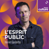 L'esprit public - France Culture