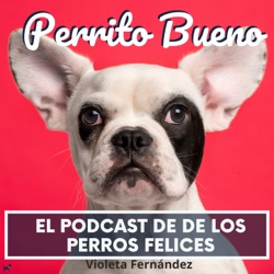 El podcast de los perros felices