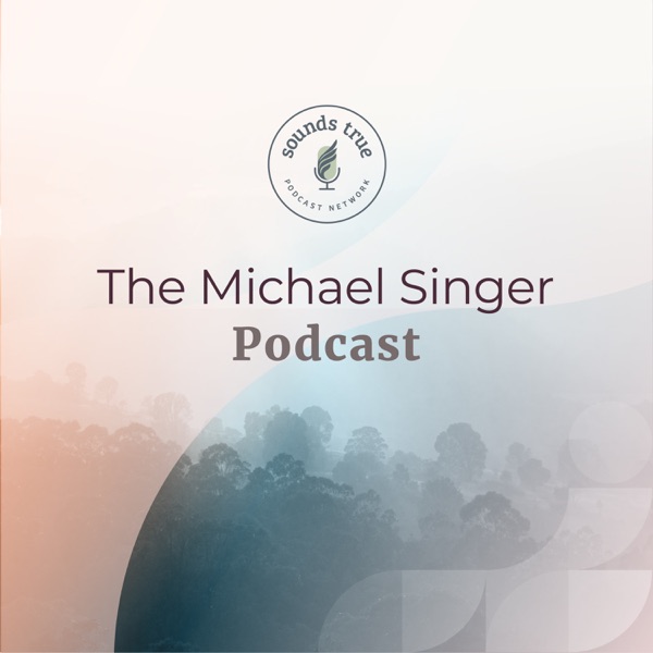 Michael Singer Podcast image