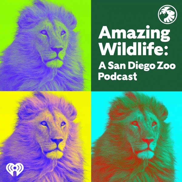 Amazing Wildlife: A San Diego Zoo Podcast Artwork
