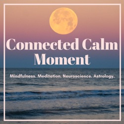 Connected Calm Moment