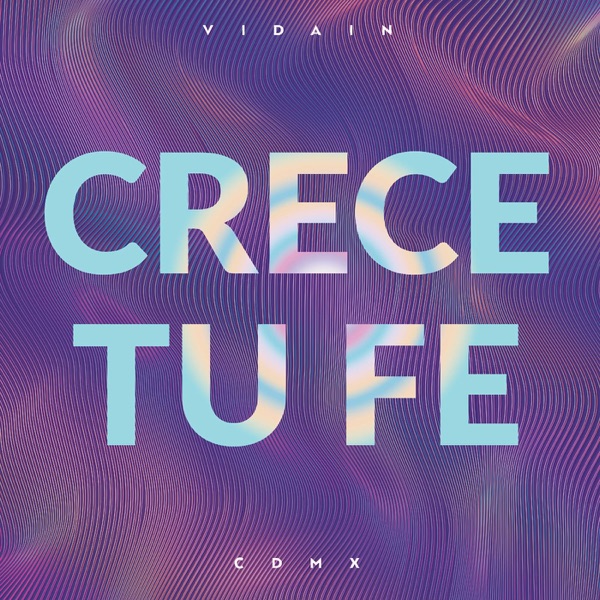 VIDAIN - CDMX