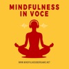 Mindfulness in Voce