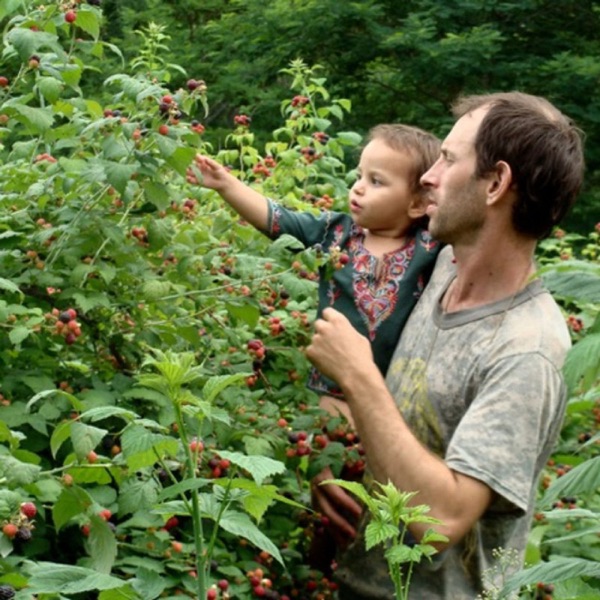 East Hill Tree Farm Please Buy Their Trees photo