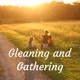 Gleaning and Gathering