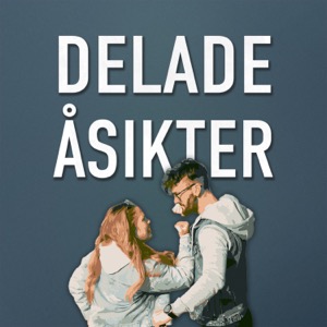 Delade Åsikter - en podcast om allt och inget