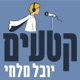 558: נהג המיניבוס – 'סיפור אחר' לזכר שירה בנקי